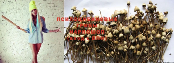 кокаин Белоозёрский