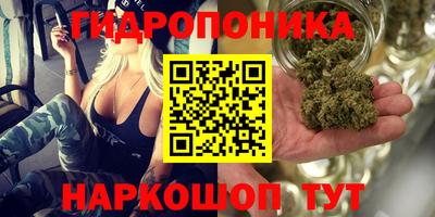 ГАЛЛЮЦИНОГЕННЫЕ ГРИБЫ Кунгур