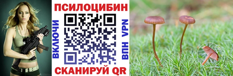 Галлюциногенные грибы Psilocybine cubensis  Кстово 